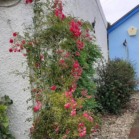 The Rockhouse - Cosy Stone Built Thatch Holiday home Dungloe