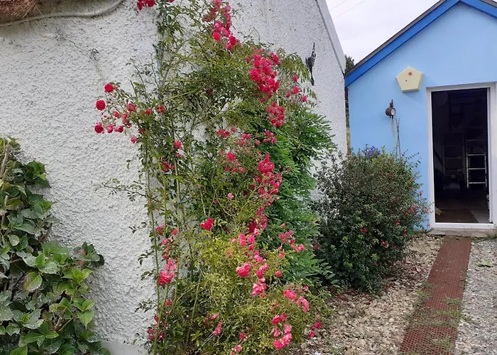 The Rockhouse - Cosy Stone Built Thatch Prázdninový dům Dungloe